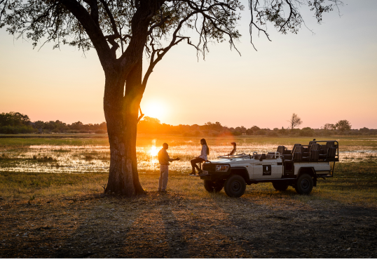 Tailor-Made Travel