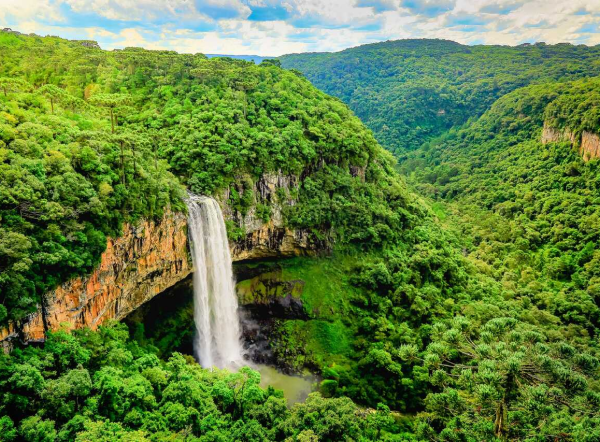 Atlantic Forest